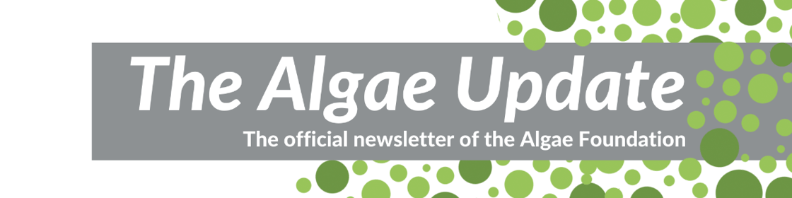 Alge Update Header