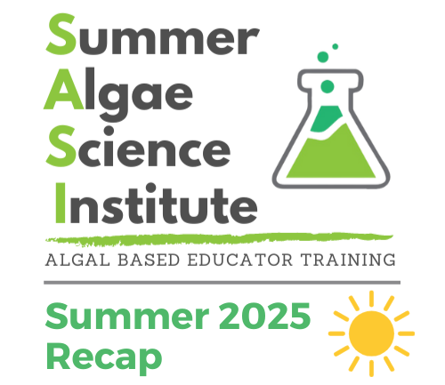 SUMMER 2025 RECAP (1)